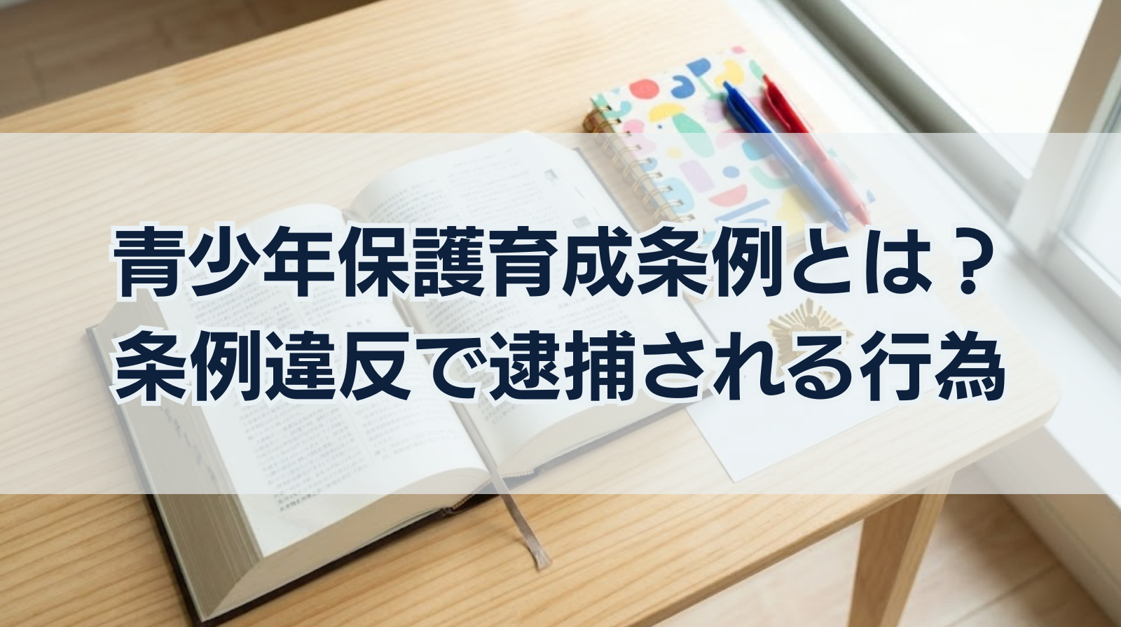 青少年保護育成条例とは？条例違反で逮捕される行為を解説