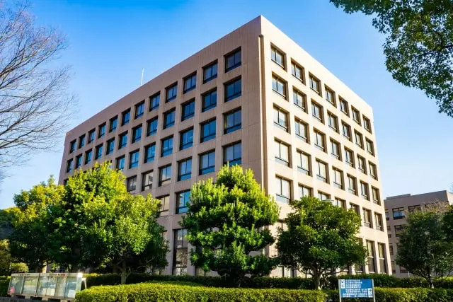 養育費調停とは｜申立ての流れや調停で聞かれること
