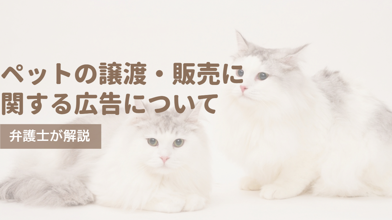 【弁護士解説】ペットの譲渡・販売に関する広告について