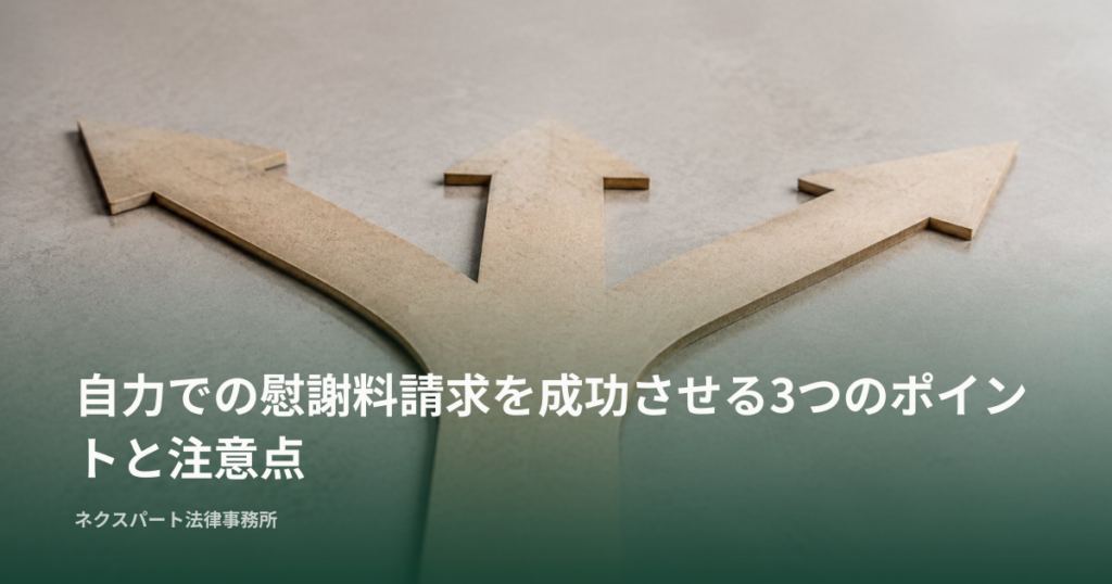 自力での慰謝料請求を成功させる3つのポイントと注意点