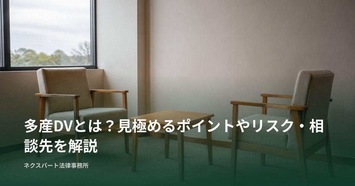 多産DVとは？見極めるポイントやリスク・相談先を解説